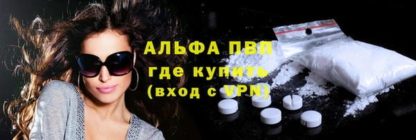 гидра Корсаков