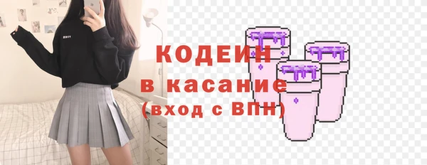 гидра Корсаков