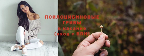 mdpv Коряжма