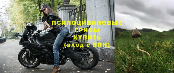 гидра Корсаков