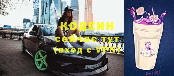 гидра Корсаков