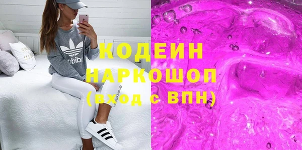 гидра Корсаков