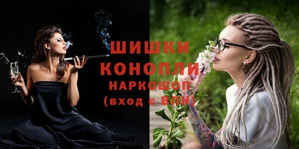 гидра Корсаков