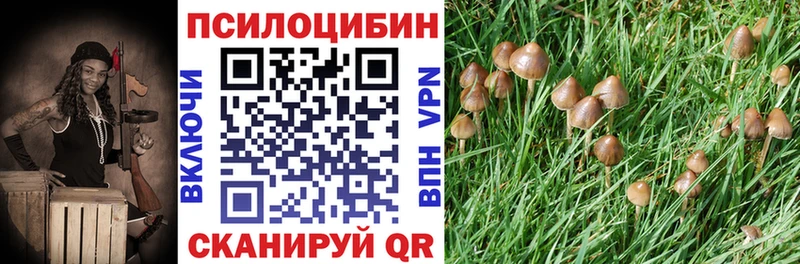 Галлюциногенные грибы Magic Shrooms  Купить где  Ленинск 